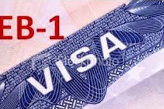increase citation and write article for o1 visa eb1 eb2 niw