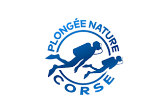 design professional dive service themed logo