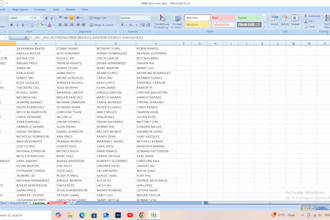 do fast and accurate data entry and typing work