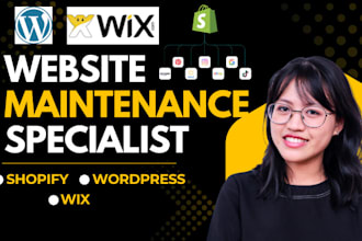be website manager, website maintenance, website management, bug fix, wordpress