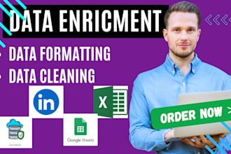 do advanced data enrichment, cleaning, and formatting services