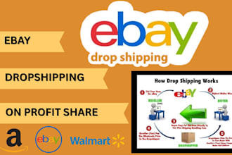 do ebay dropshipping on profit share amazon virtual assistant walmart