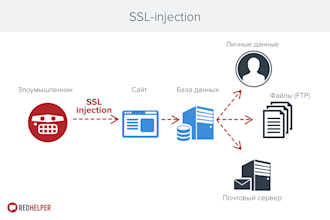 expert website security fix XSS, csrf sql injection fast