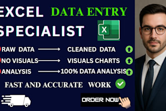 do excel charts , pivot table , analysis of data