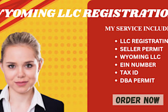do llc registration, wyoming llc,  itin, ein, tax id, dba permit, seller permit