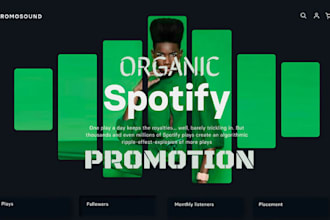 do professional spotify music promotion