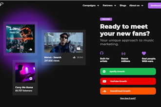 do organic USA spotify music promotion apple music promotion