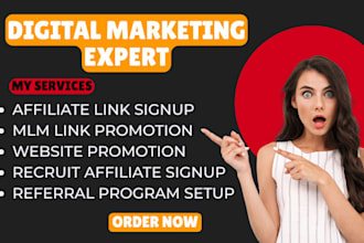 do mlm affiliate link promotion, website promotion, solo ads, twitter yt fb ig