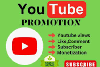 organic super fast viral youtube promotion to gain views, audience, organic sub