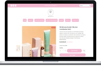 copy,clone,duplicate shopify store design