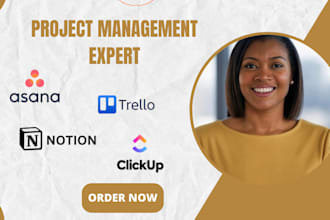 set up and automate your asana, trello, notion, or clickup