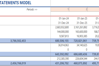 make complex financial models and perform detailed data analysis