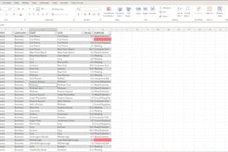 create excel sheets,attendance tracker, sales report