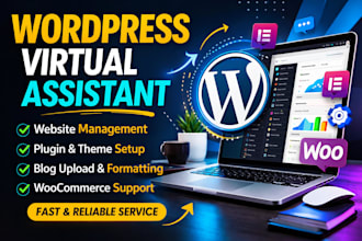 be your wordpress virtual assistant VA