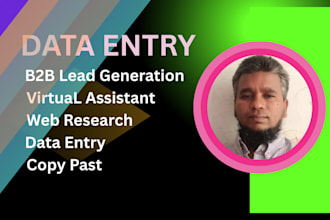 do b2b lead generation,data entry,web research,VA oparetor