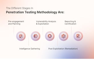 conduct a professional penetration test on your website and fix critical