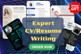 create professional resume or CV