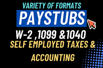 do paystub, check stub, w2, 1099, 1040, schedule c