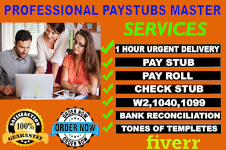 make paystub, paycheck, adp pay stubs, payroll report w2 w3 payslip