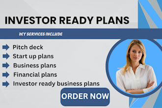 prepare investor ready plan,startups plans , business plan and financial plans