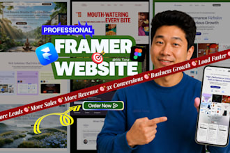 do plumbing framer website, fix framer website, framer portfolio website