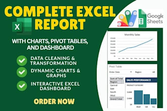 create a complete excel report with charts,pivot tables,vba,macros and dashboard
