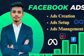 setup facebook and instagram ads campaign for your business