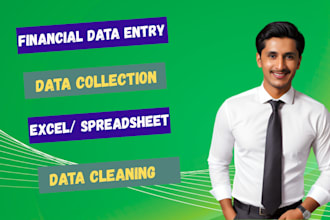 do accurate and tailored financial data entry, cleaning, and spreadsheet