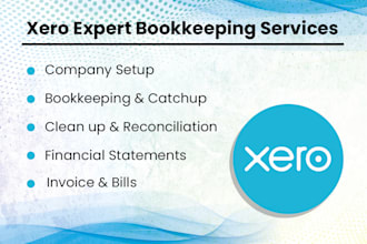 do setup, catchup, bank reconciliation and bookkeeping in xero