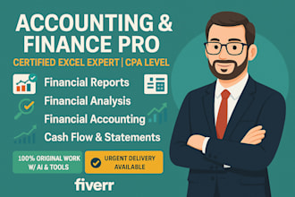 do accounting, finance assignment, financial statement analysis and excel report