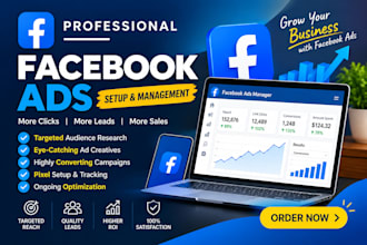 setup and manage facebook ads campaign