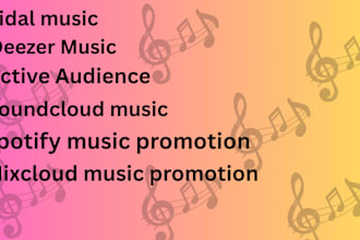 do best mixcloud, spotify music promotion by setting up campaign advertising