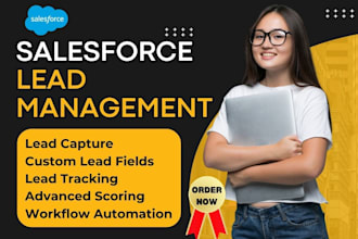 setup salesforce lead management automated lead assignment routing scoring rules