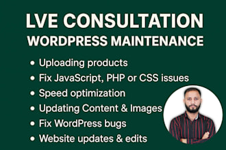 provide technical wordpress customer support, maintenance for plugins or themes