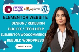 build, rebuild, redesign business website development, woocommerce, tech help