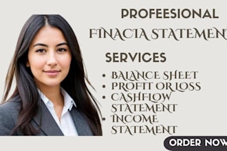 verify income statement, p l, and financial audit reports