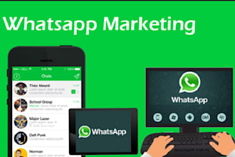 drive results with advanced whatsapp marketing and smart tracking solutions