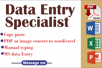 convert and insert data, PDF to excel, word, and file, typesetting and retyping