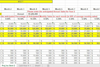 do detailed financial forecast,business plan and projections