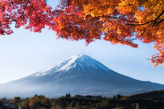 help you with your business in japan