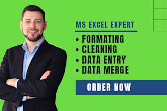 do data entry, cleaning, and formatting