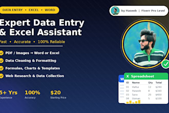 be your expert data entry assistant
