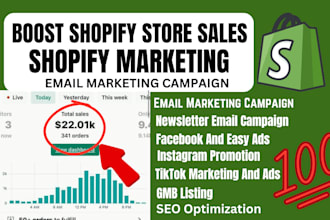 boost shopify etsy store sales marketing promotion SEO facebook ads campaign