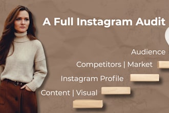 do in depth instagram audit, target audience research and competitor analysis