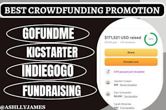 do project based crowdfunding campaign promotion for kickstarter, indoegogo