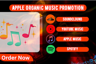 do apple music promotion via apple playlist