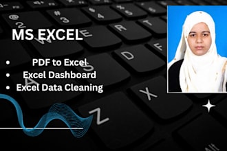 do excel dashboard, excel data cleaning and PDF to excel and pivot tables