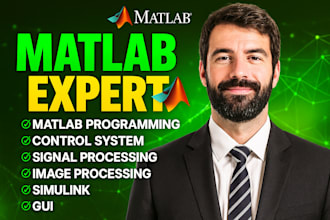 do matlab coding, simulink and processing tasks