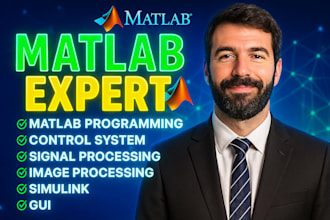 do matlab simulations and processing tasks