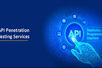 do VA and penetration testing, website security of your web, network and app